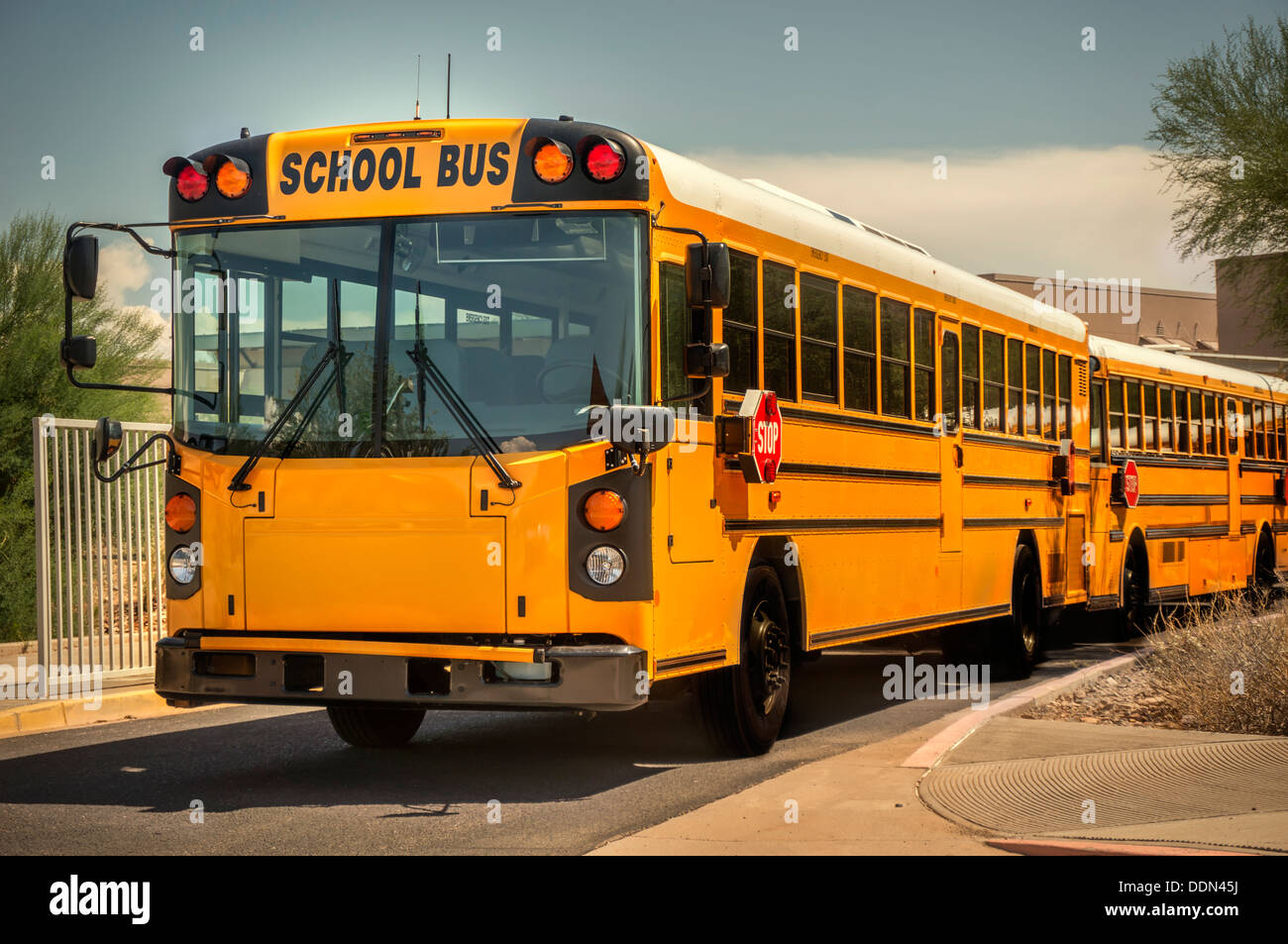 Amerikanische gelben Schulbusse Stockfoto