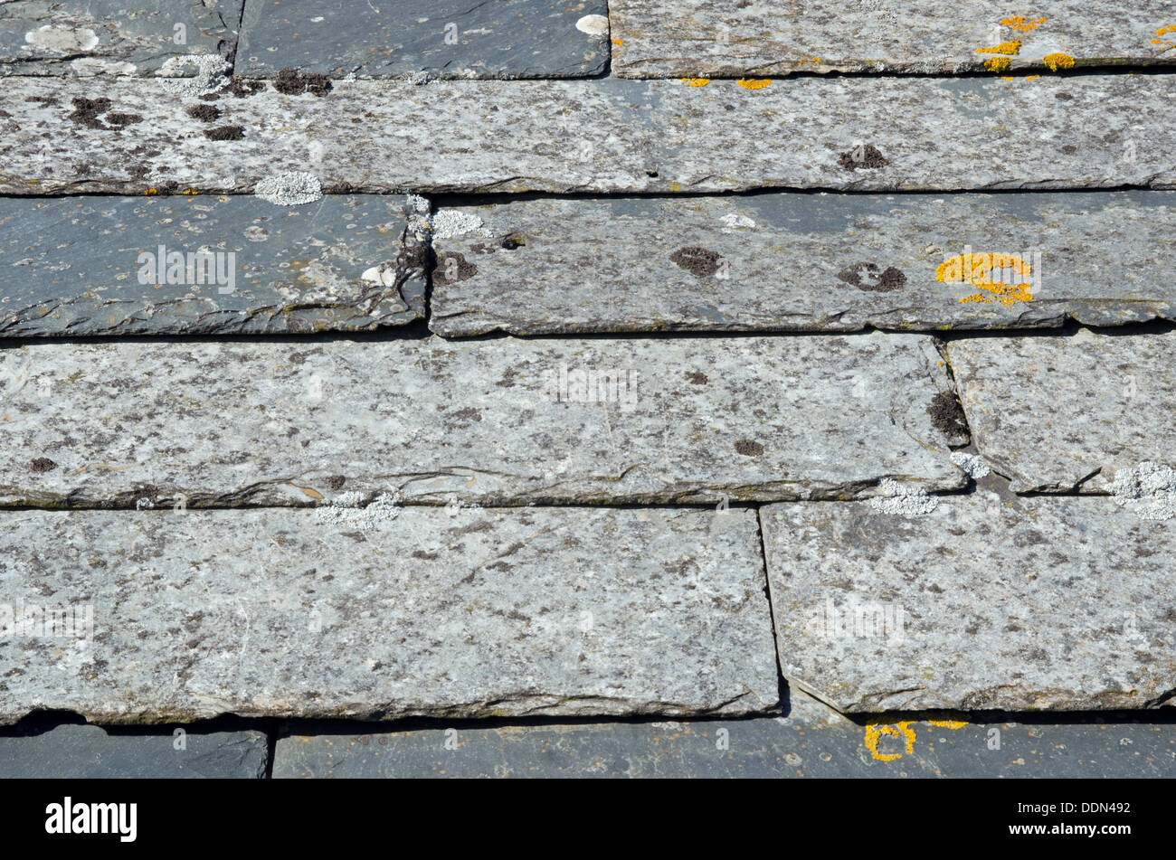 Kornische Schieferdach Stockfoto