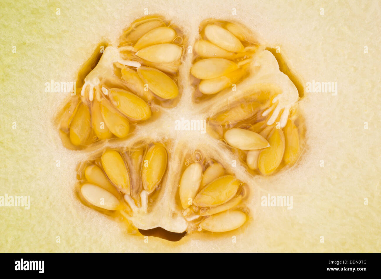 Der Kernel eine gelbe Melone in Nahaufnahme Stockfoto