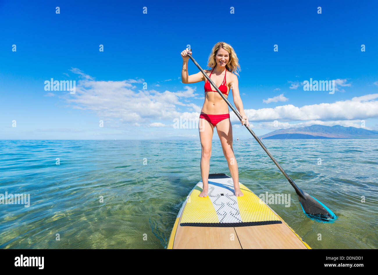 Attraktive Frau auf Stand Up Paddle Board, SUP, Tropical Blue Ocean, Hawaii Stockfoto