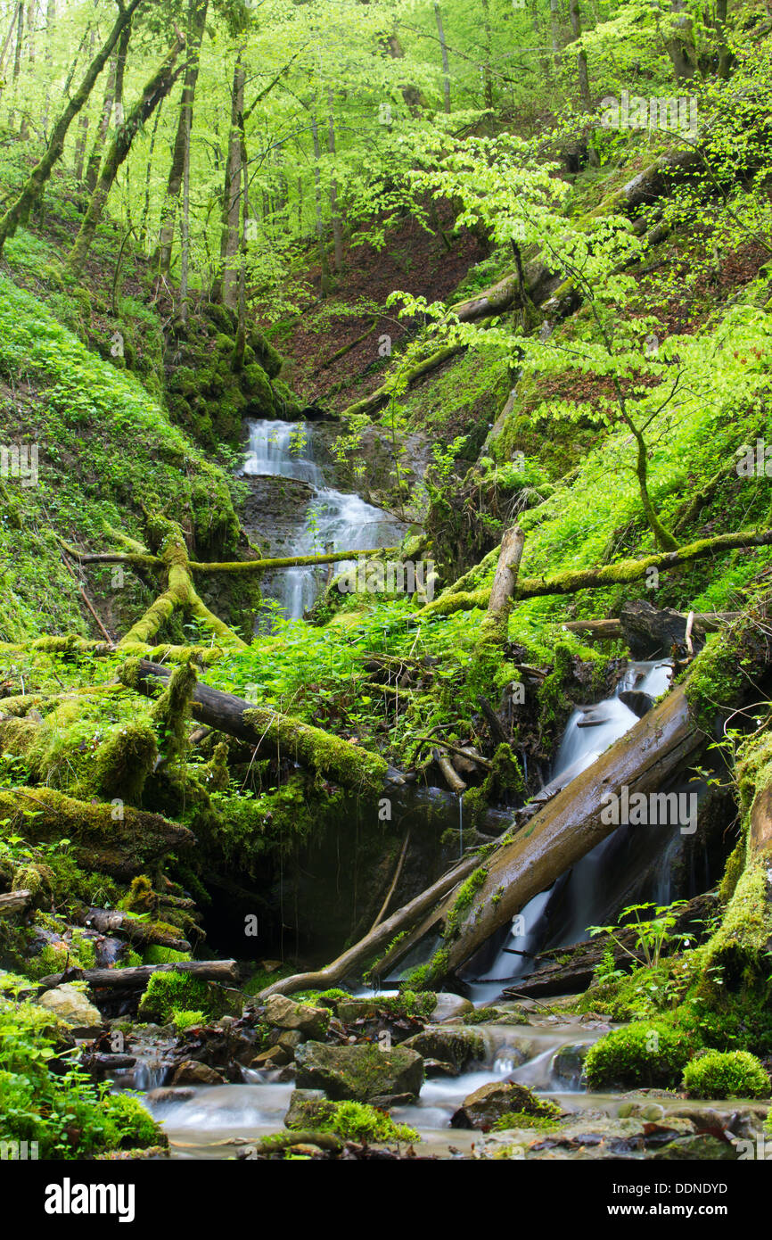 Wutachschlucht, Schwarzwald, Baden-Württemberg, Deutschland, Europa Stockfoto