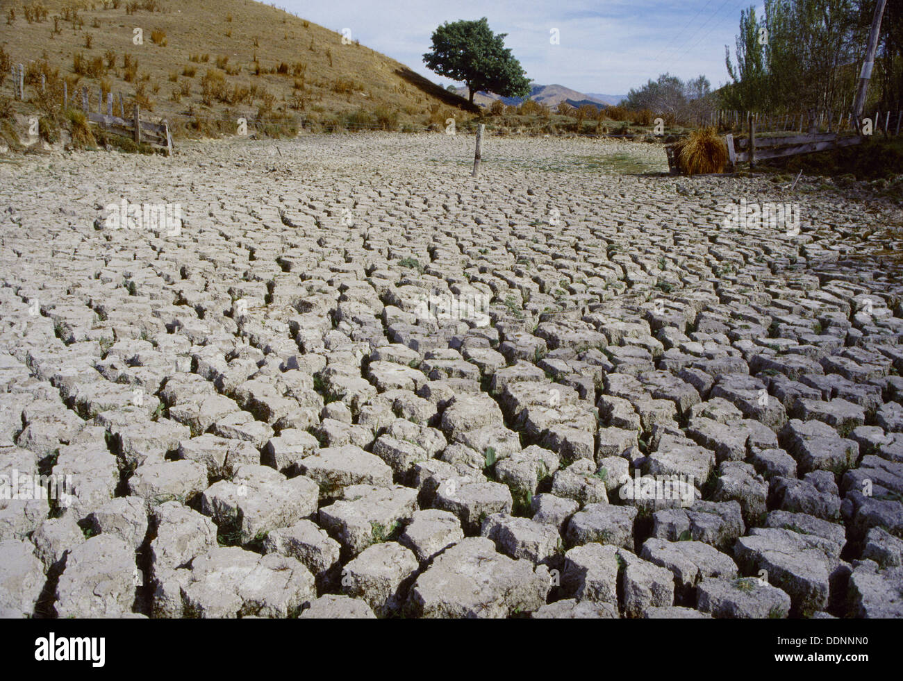 Trockenen Lager Teich aus 1998 El Nino Dürre Gisborne Neuseeland Stockfoto