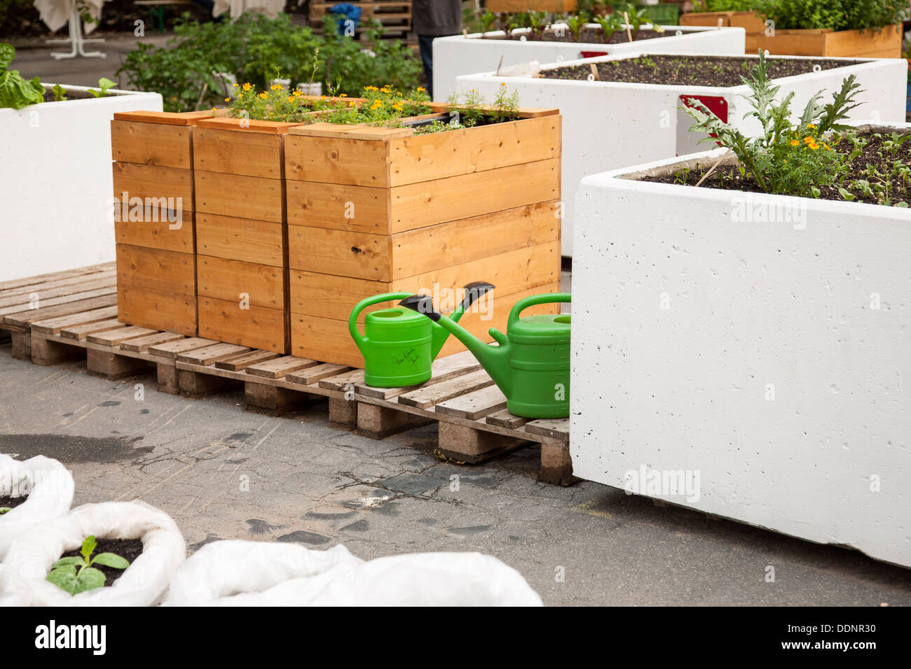 Urban Gardening, Frankfurt Am Main, Hessen, Deutschland, Europa Stockfoto