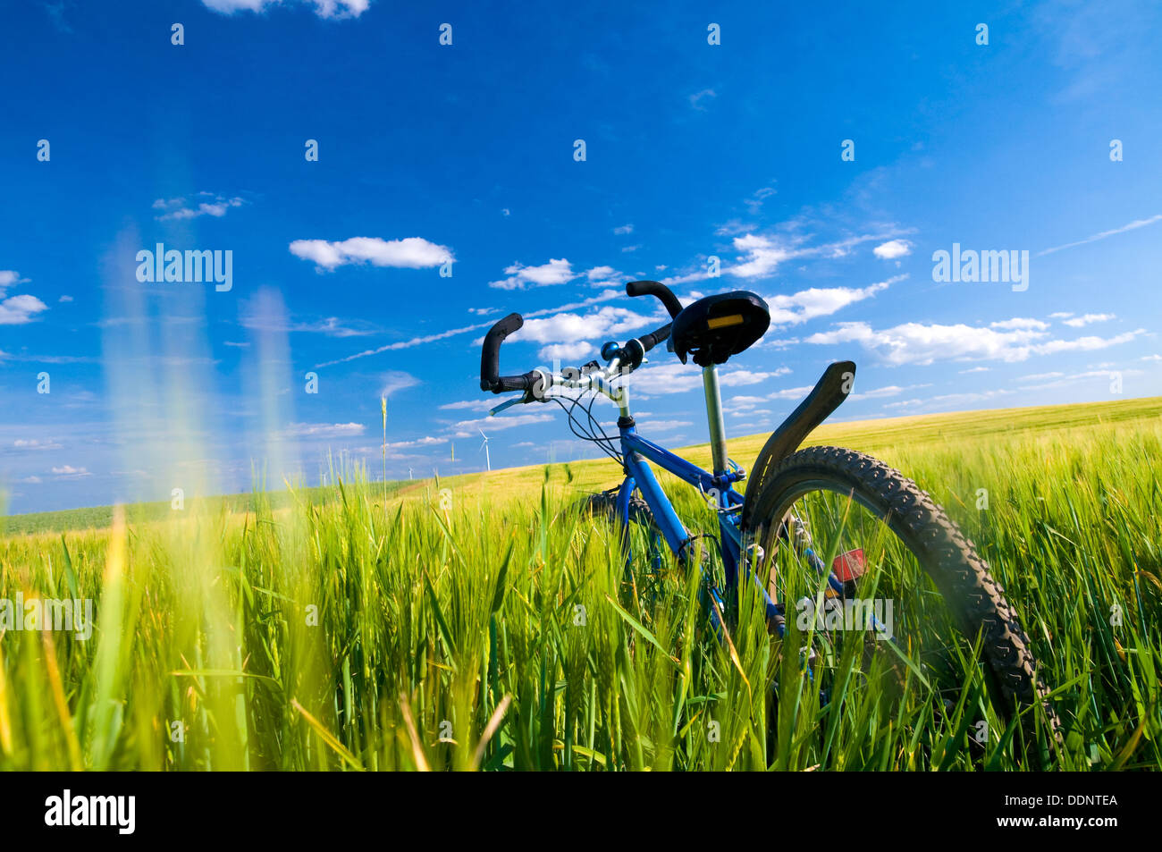 Fahrrad in einem Feld Stockfoto