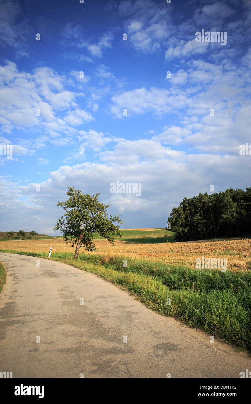 ländliche Lansdscape in der Nähe von Coburg, Bayern, Deutschland Stockfoto