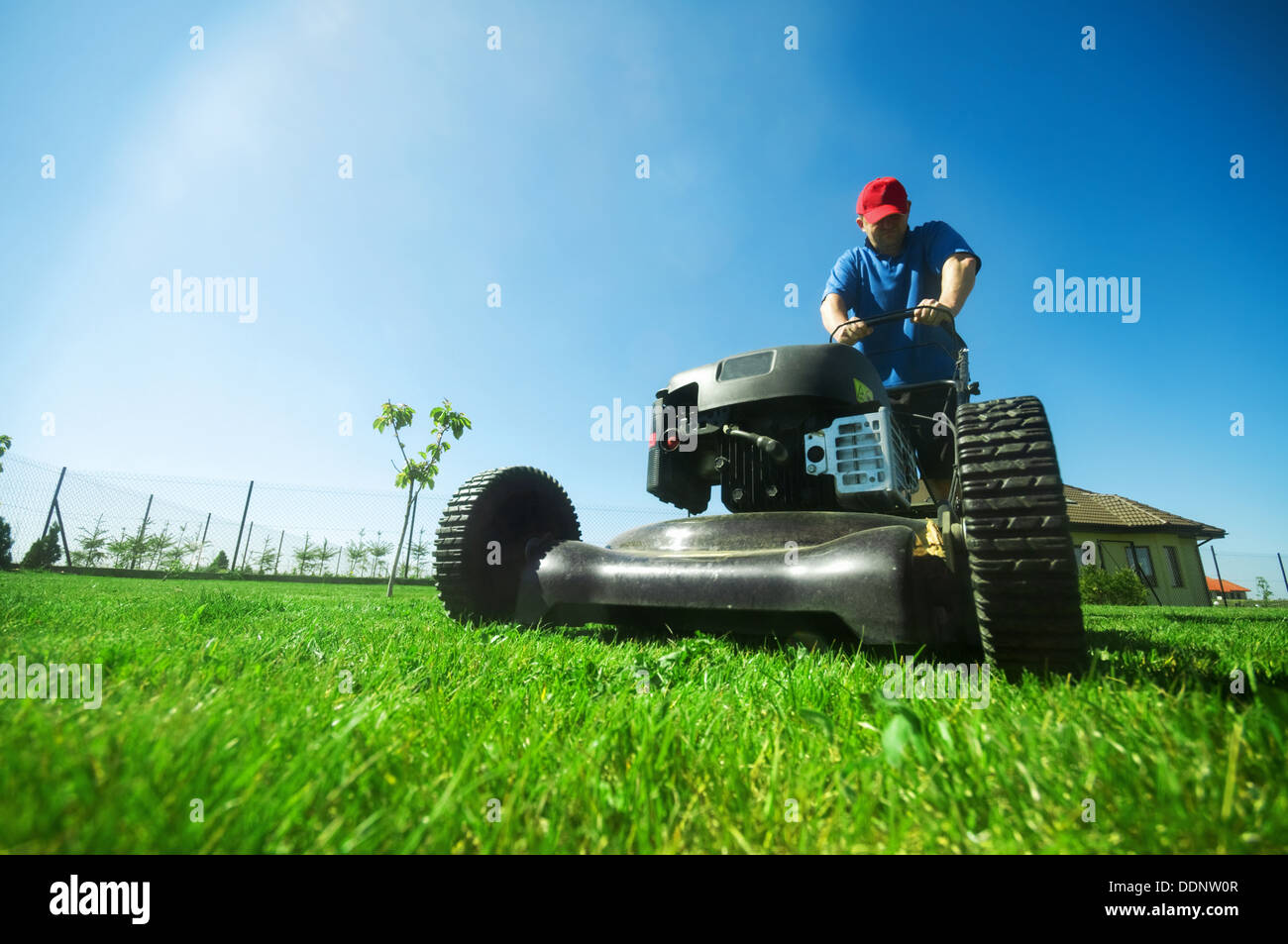 Mann den Rasen mit dem Rasenmäher Mähen Stockfoto