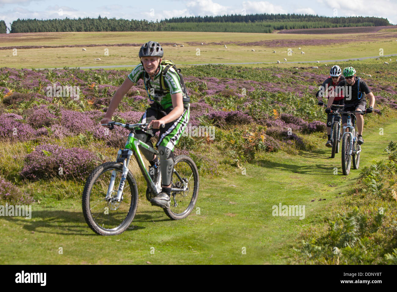 Mountainbiker auf dem Weg von Shropshire, Long Mynd, Shropshire, England, UK Stockfoto