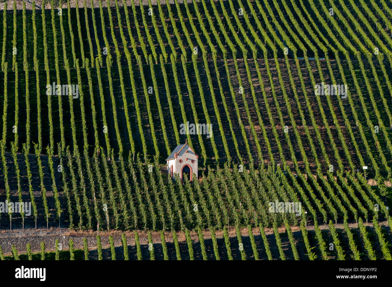 Kapelle im Weinberg am Fluss Mosel, Piesport, Rheinland-Pfalz, Deutschland, Europa Stockfoto