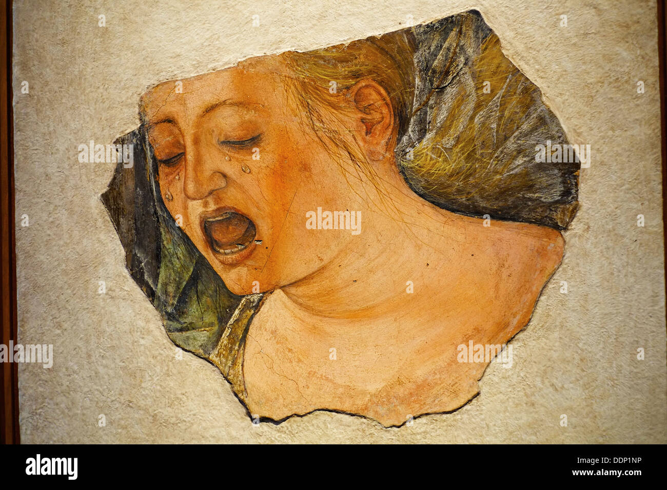 Italien, Emilia-Romagna, Bologna, Pinacoteca Nazionale Art Gallery, Volto di Maria Maddalena Piangente aus Ercole de Roberti 1486 Stockfoto