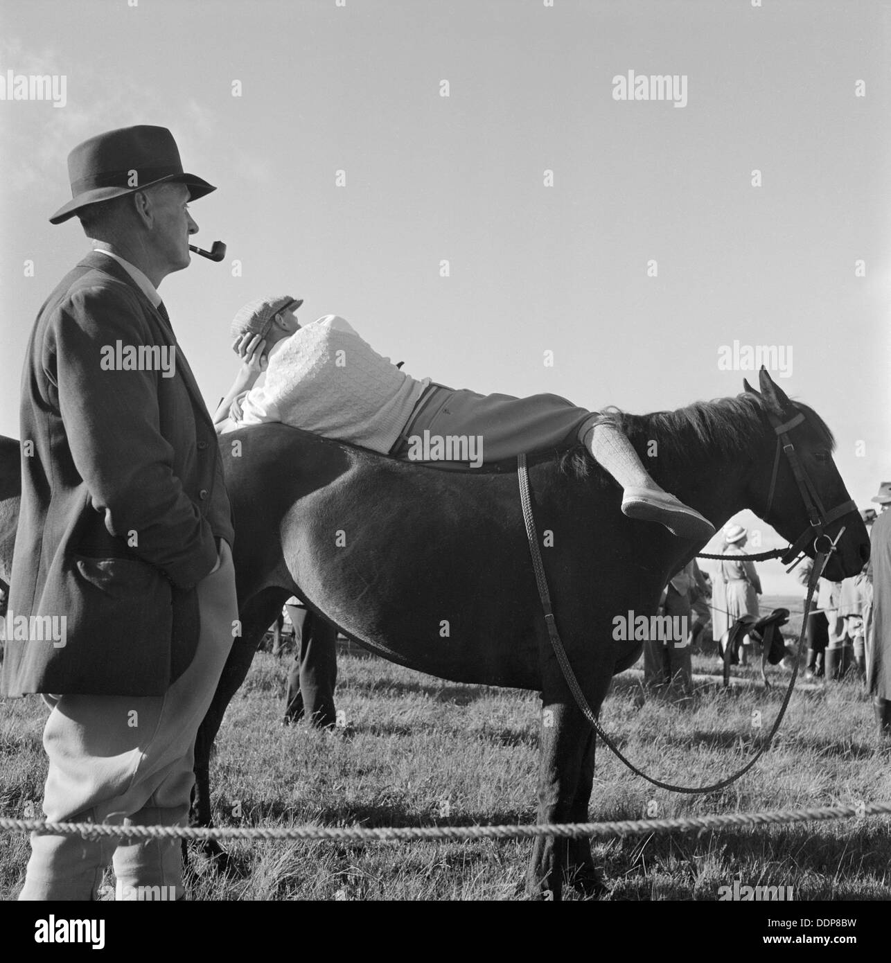 Ein Pony auf Exmoor, Somerset, c1946-c1959. Künstler: John Gay Stockfoto