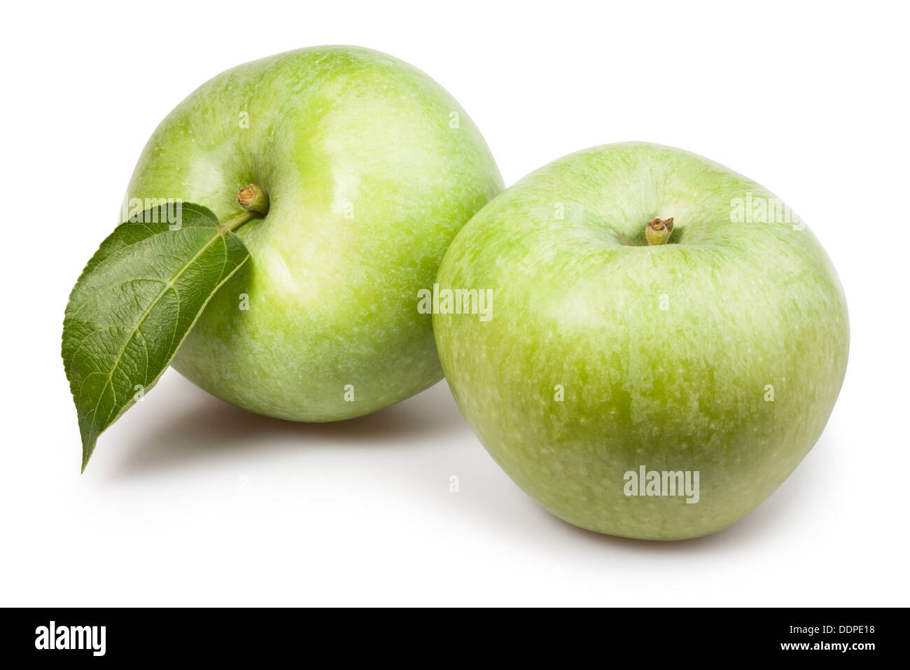 Apfelgrün zwei Blatt auf weißem Hintergrund Stockfoto