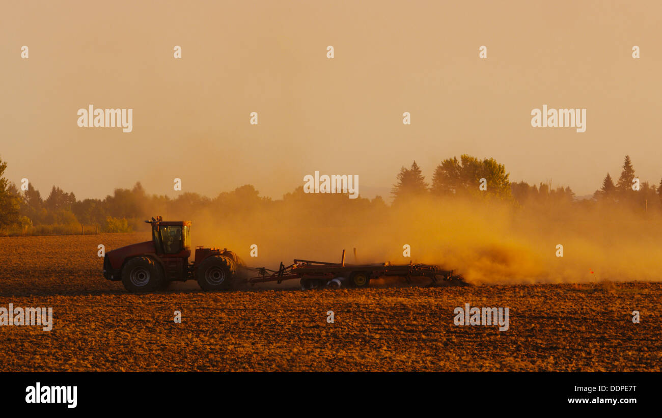 Traktor Pflügen Feld bei Sonnenuntergang Stockfoto
