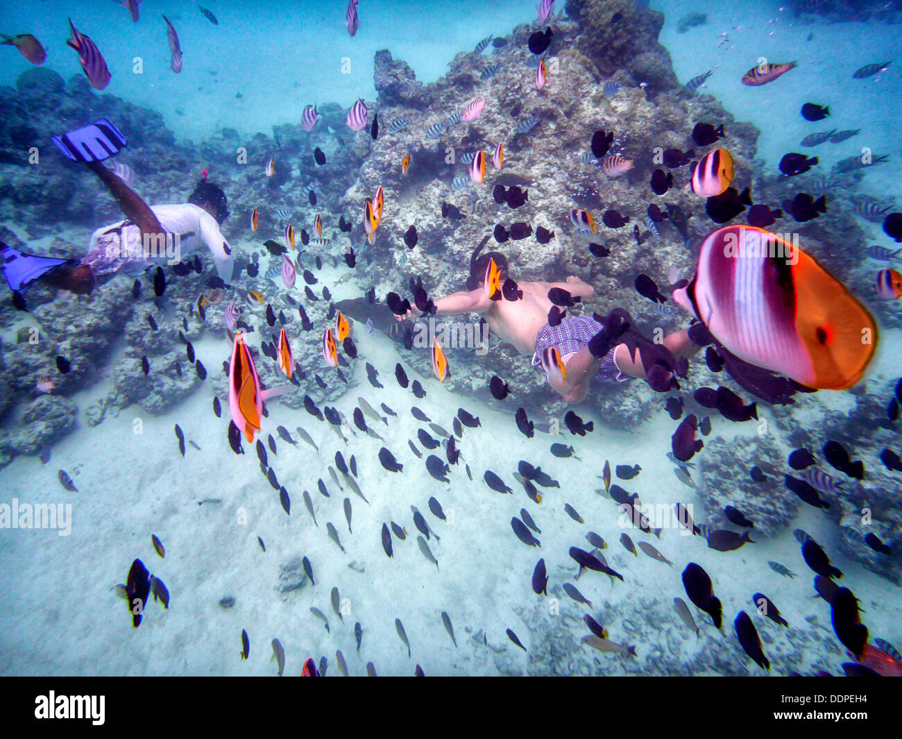 Schnorchel Taucher mit tropischen Fischen. Bora Bora. Französisch-Polynesien Stockfoto