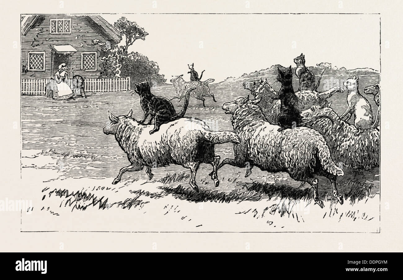 Der Bauer gehört bald wo seine Schafe in die Irre, und kam zu der Dame die Tür mit seinem treuen Hund Tablett ging Stockfoto