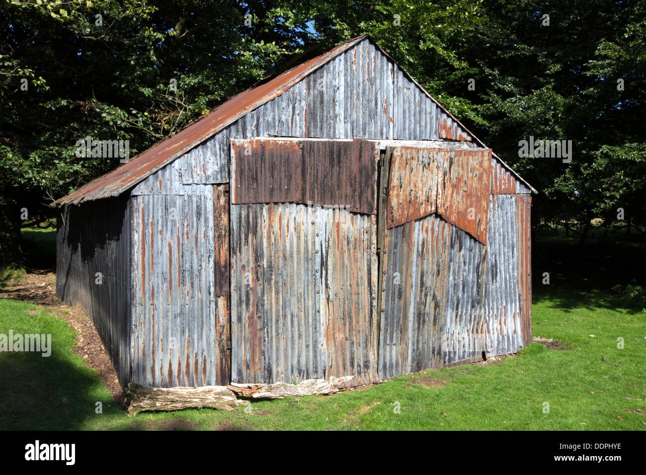 Rostiges Metall Wellpappe Schuppen, Shropshire, England, UK Stockfoto