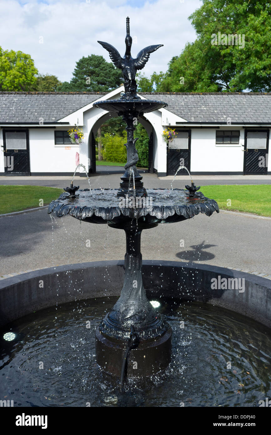 Irische Nationalgestüt in Kildare, Irland Stockfoto