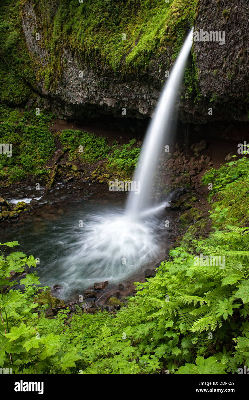 Schachtelhalm fällt stürzt in einen großen Pool entlang des Columbia River Gorge in Oregon Stockfoto