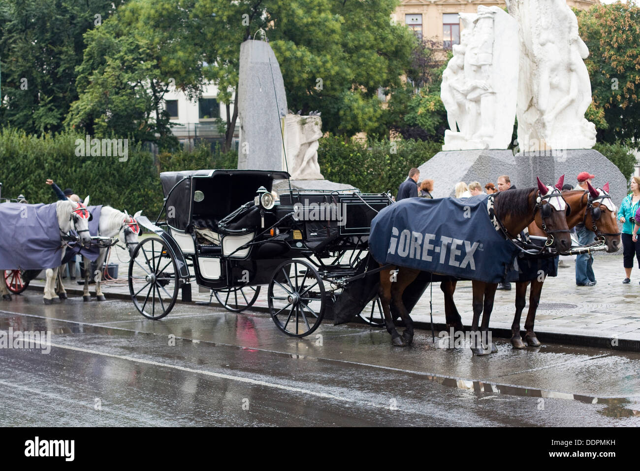 Pferdekutsche Kutsche reitet traditionellen Fiaker in Wien Österreich Stockfoto