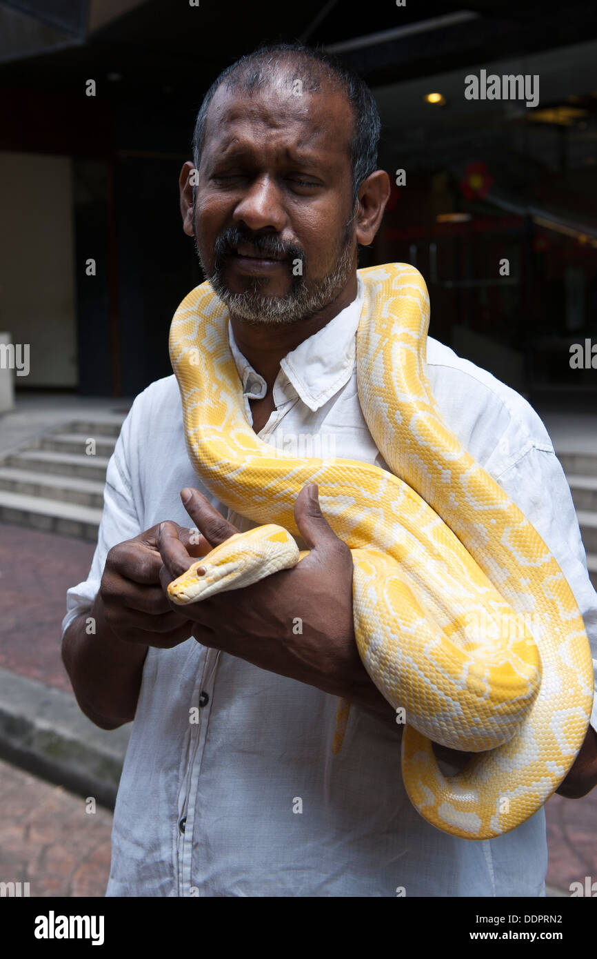 Indischer Mann mit einer gelben Schlange, Malaysia Stockfoto