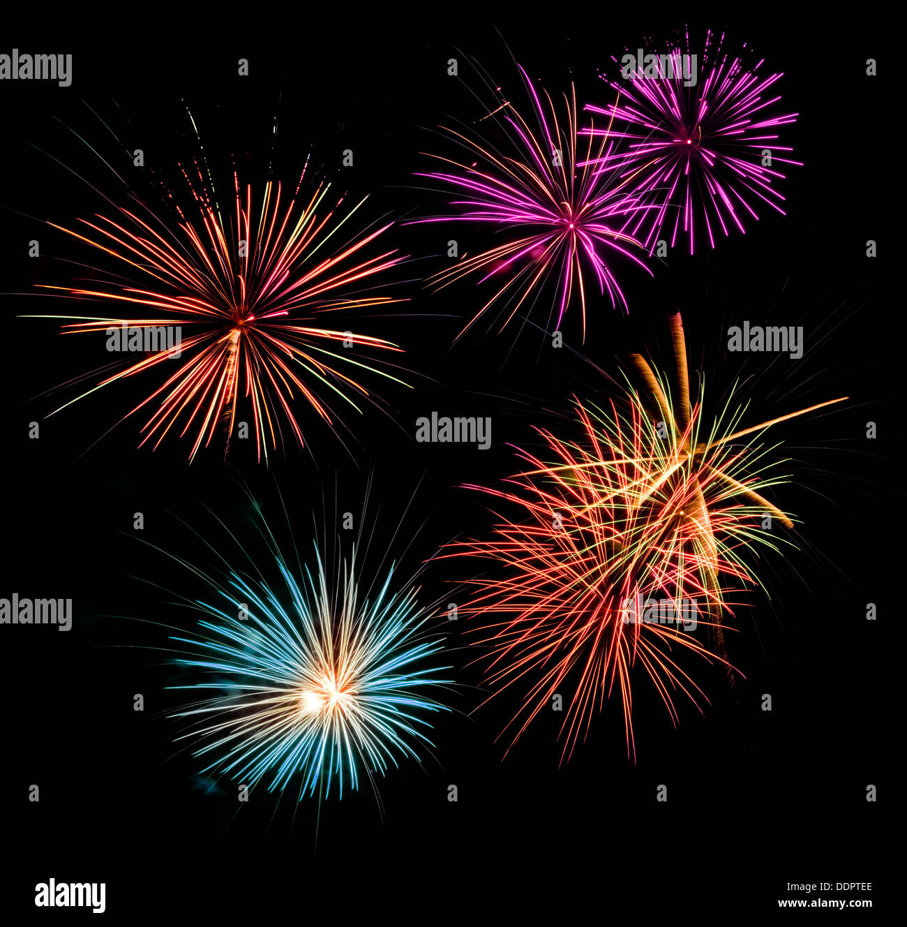 Buntes Feuerwerk in einem schwarzen Nachthimmel Stockfoto