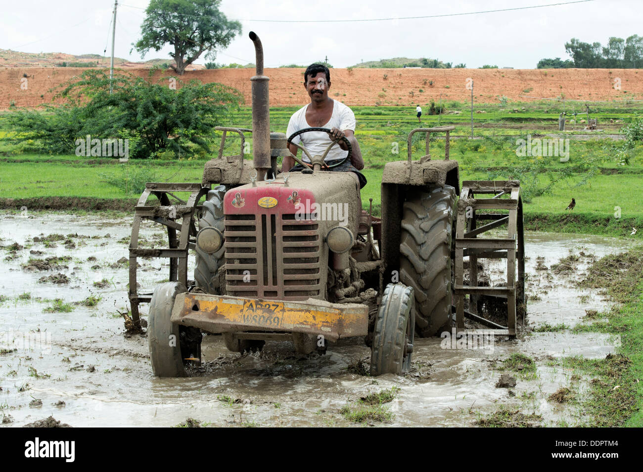 Indischer Mann Pflügen Paddy Reisfeld mit einem Traktor. Andhra Pradesh, Indien Stockfoto