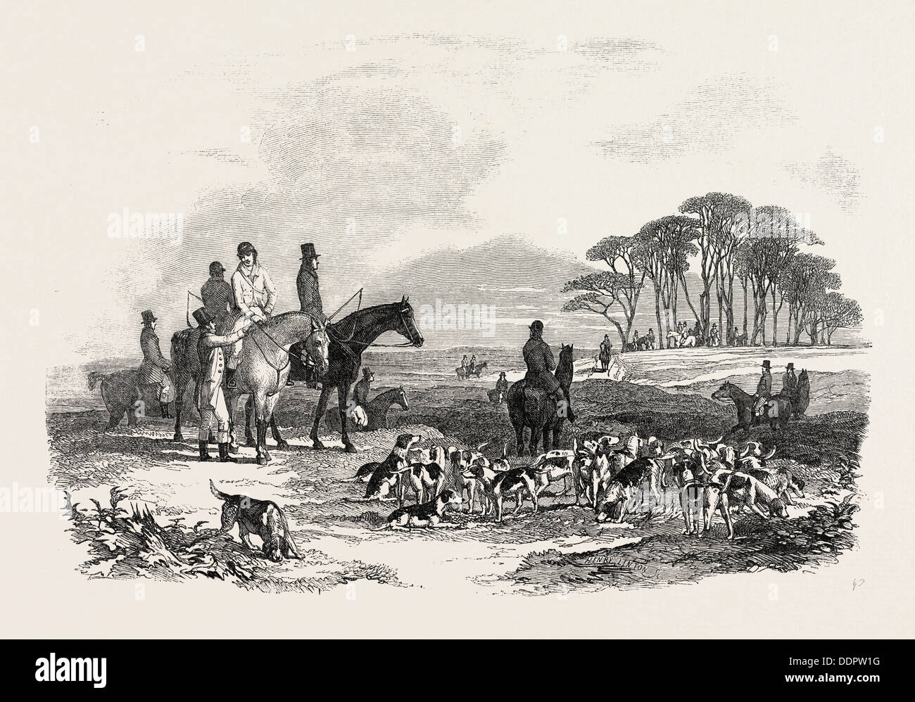 Hasen-Jagd: Die treffen, 1851-Gravur Stockfoto