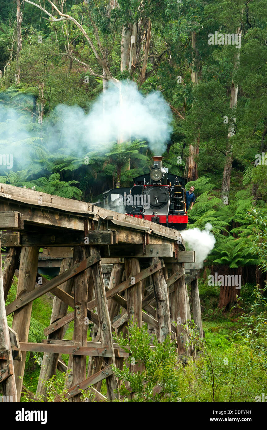 Puffing Billy auf Trestle Bridge, Belgrave, Melbourne, Victoria, Australien Stockfoto