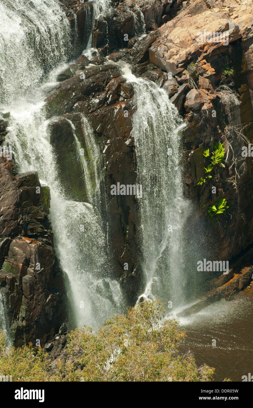 MacKenzie Falls, Grampians NP, Victoria, Australien Stockfoto