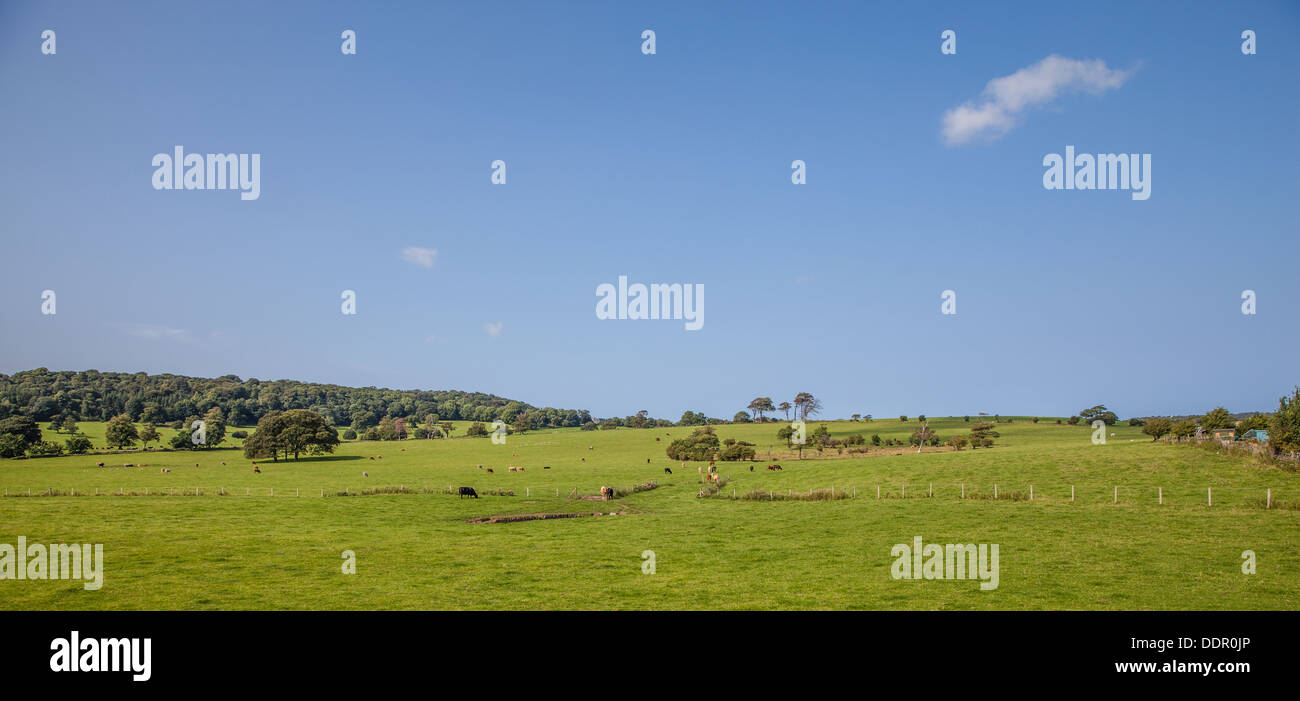 Lande in wales Stockfoto