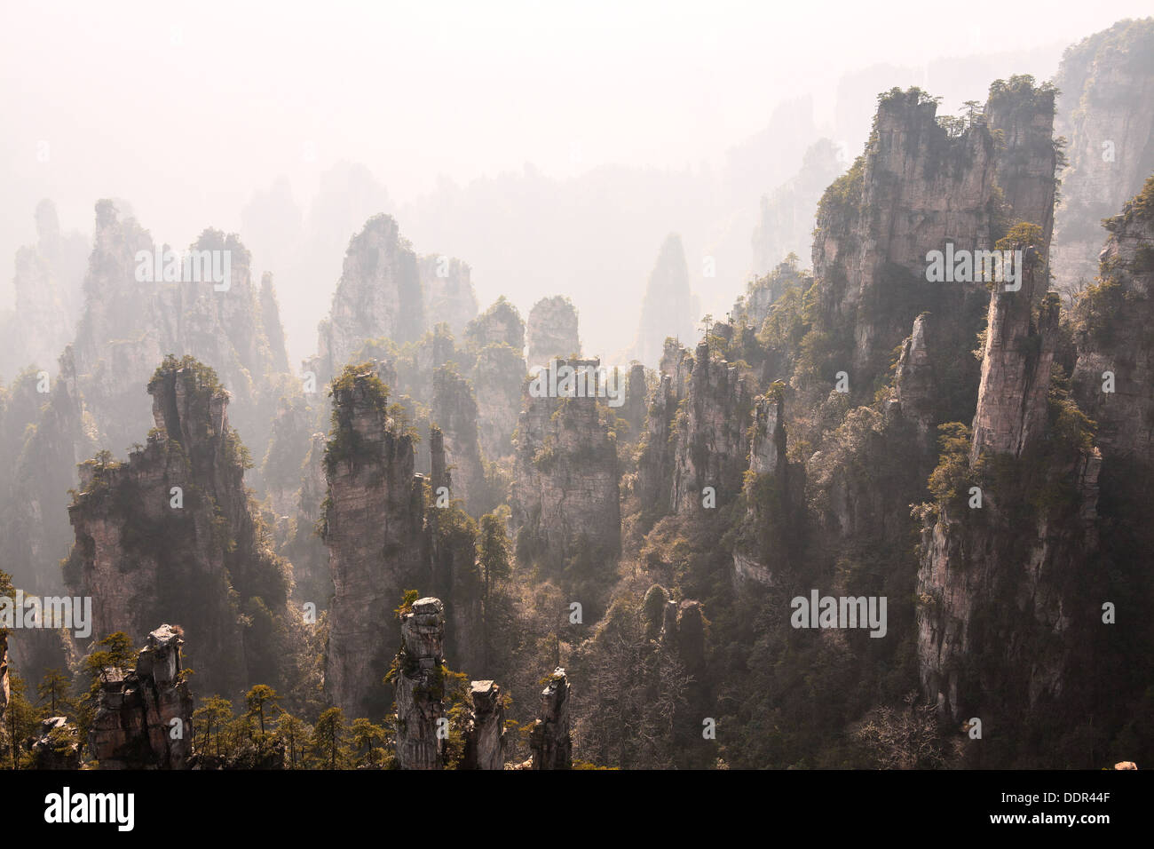Zhangjiajie Berge, China. UNESCO-Weltkulturerbe. Stockfoto