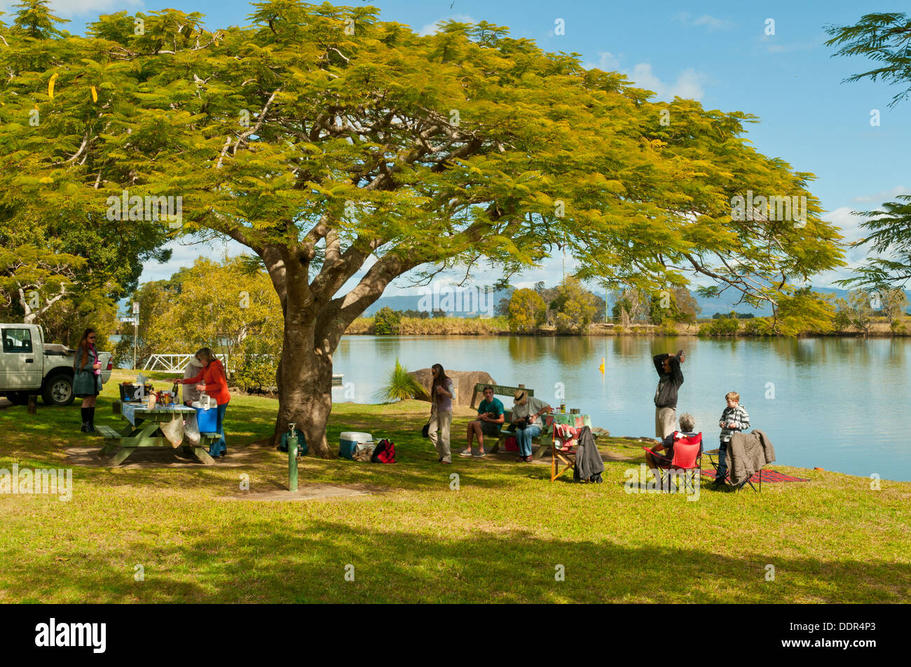 Picknick am Tweed Riverside, Tumbulgum, NSW, Australien Stockfoto