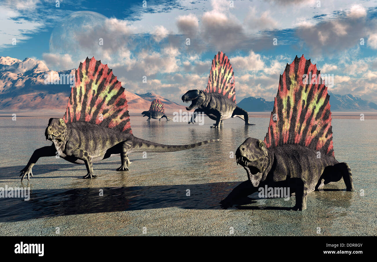 Dimetrodons Erden Perm Zeit lebendig. Stockfoto