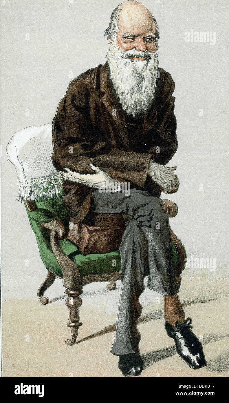 Englische Naturforscher Charles Darwin - 1871 British Karikatur von "Vanity Fair" Stockfoto