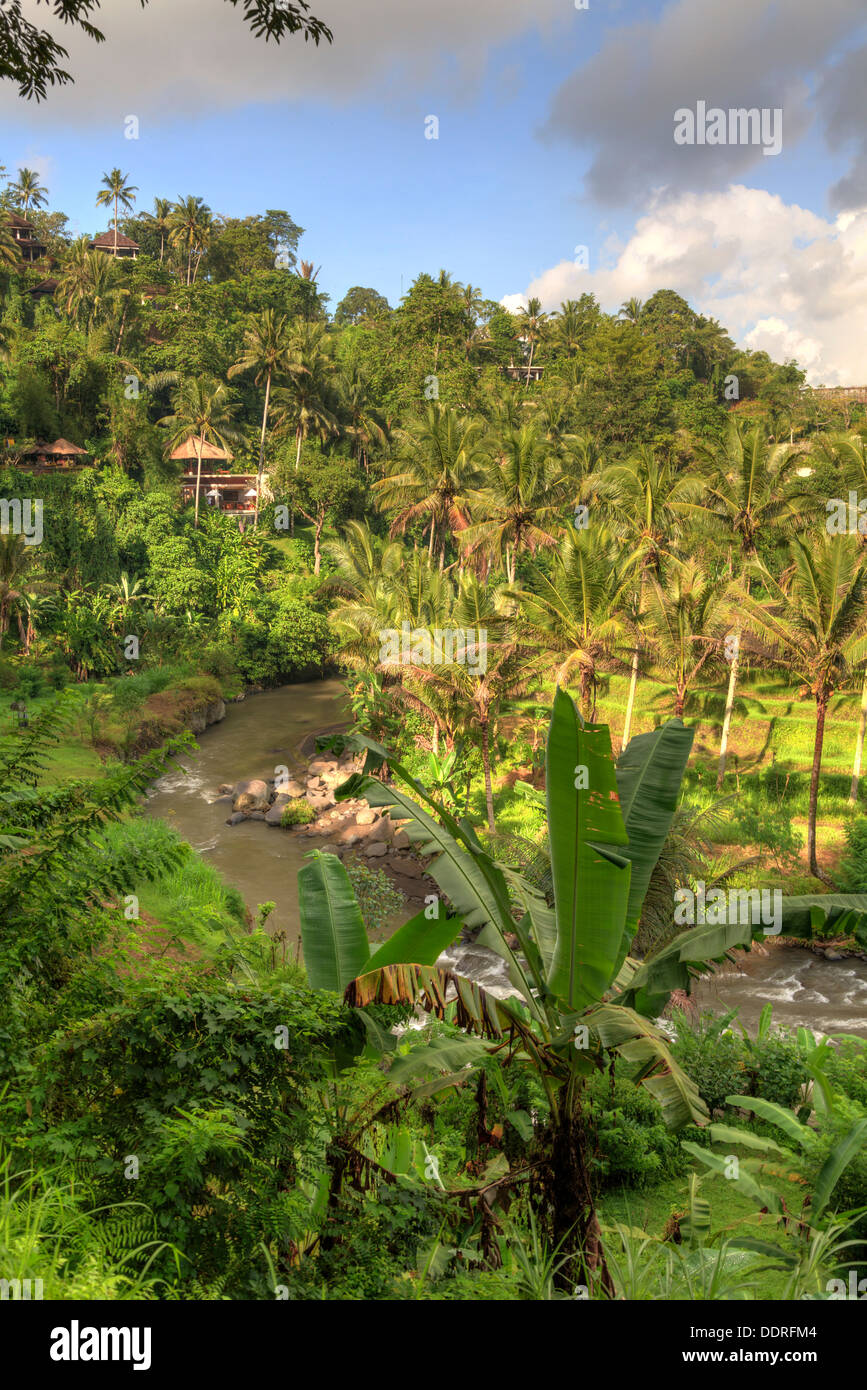 Indonesien, Bali, Ubud, Sayan Valley und Ayung Fluss Stockfoto