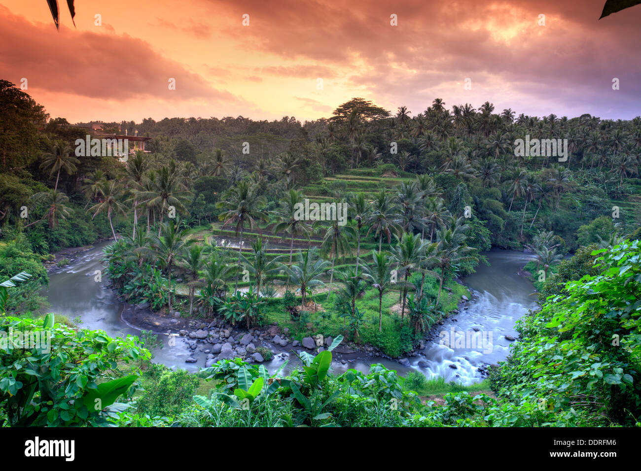 Indonesien, Bali, Ubud, Sayan Valley und Ayung Fluss Stockfoto