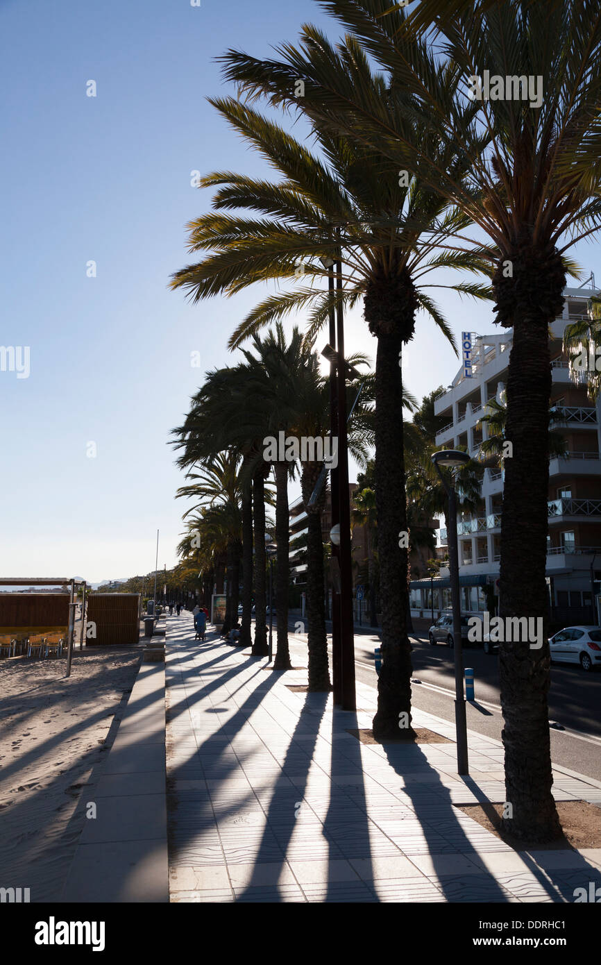 Palmen, die Silhouette gegen Sonne auf Salou promenade Stockfoto