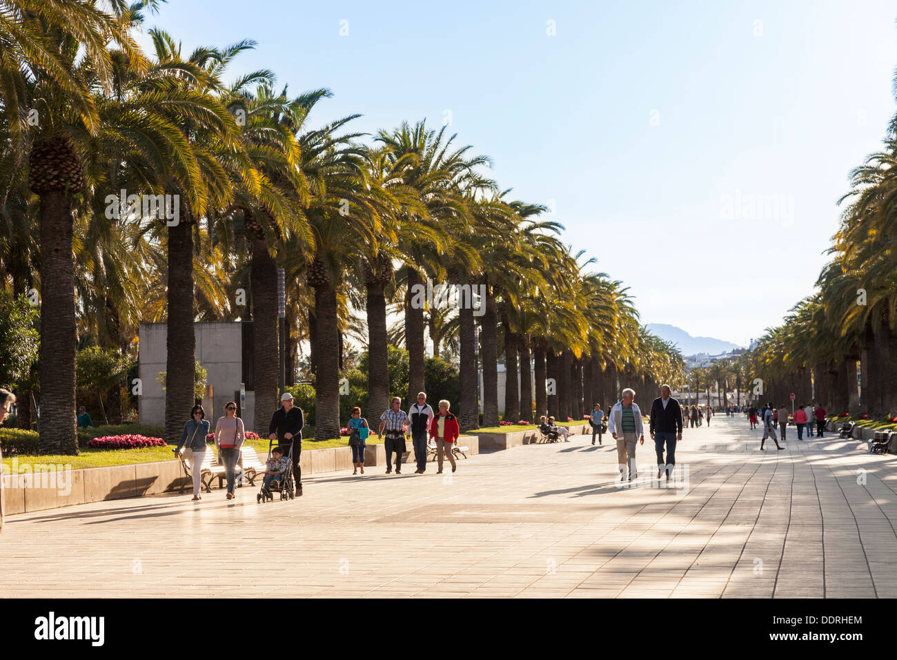 Menschen zu Fuß entlang der Palmen-Promenade in Salou Stockfoto