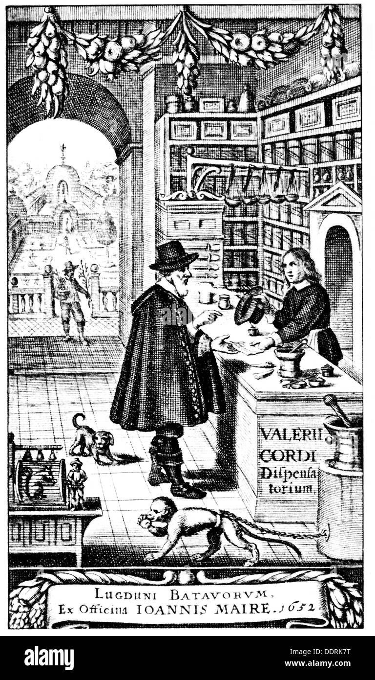 Medizin, Apotheke, Pharmazie, Verkaufsraum in Flandern, Kupferstich, von: Valerius Cordus (1515-1544), "ispensatorium pharmacorum omnium', Drucken: Ioannis Maire, Antwerpen, 1652, Artist's Urheberrecht nicht gelöscht werden Stockfoto