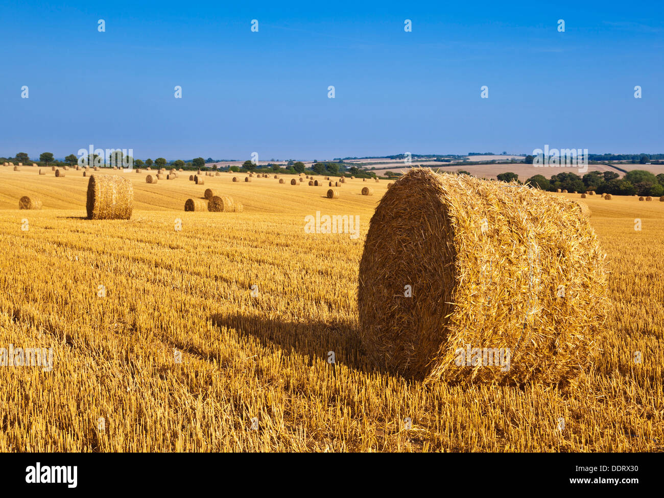 Weizen Feld geerntet und Stroh ballen Lincolnshire Wolds England UK GB EU Europa Stockfoto
