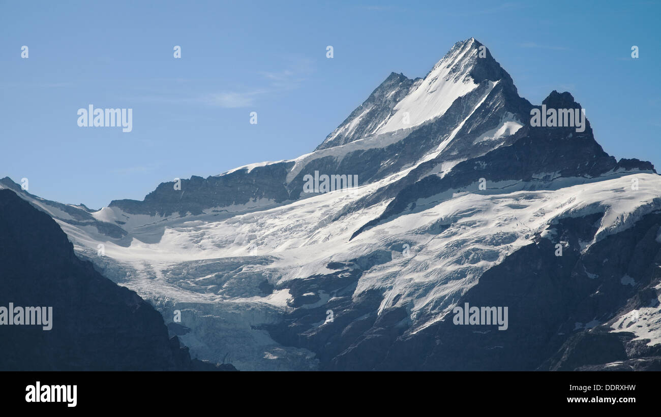 Schreck-Gipfel in den Berner Alpen, Schweiz. Stockfoto