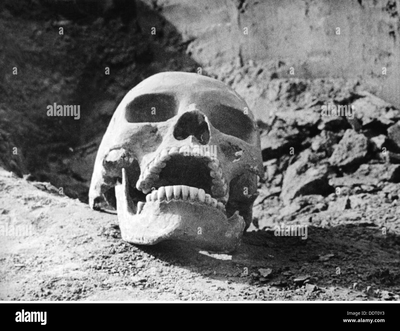 Medizin, Anatomie, Großhirn / Schädel, menschliches Schädel, 20. Jahrhundert, 20. Jahrhundert, Schädel, Todeskopf, Schädel, Todesköpfe, Symbol, Symbole, Vergänglichkeit, Vergänglichkeit, Zahn, Zähne, Untergang, Tod, Sterben, Sterben, Sterben, Verfall, Verfall, Lebensende, Medizin, Medizin, Medizin, historisch, historisch, Menschen, Zusatz-Rechte-Clearenzen-nicht vorhanden Stockfoto