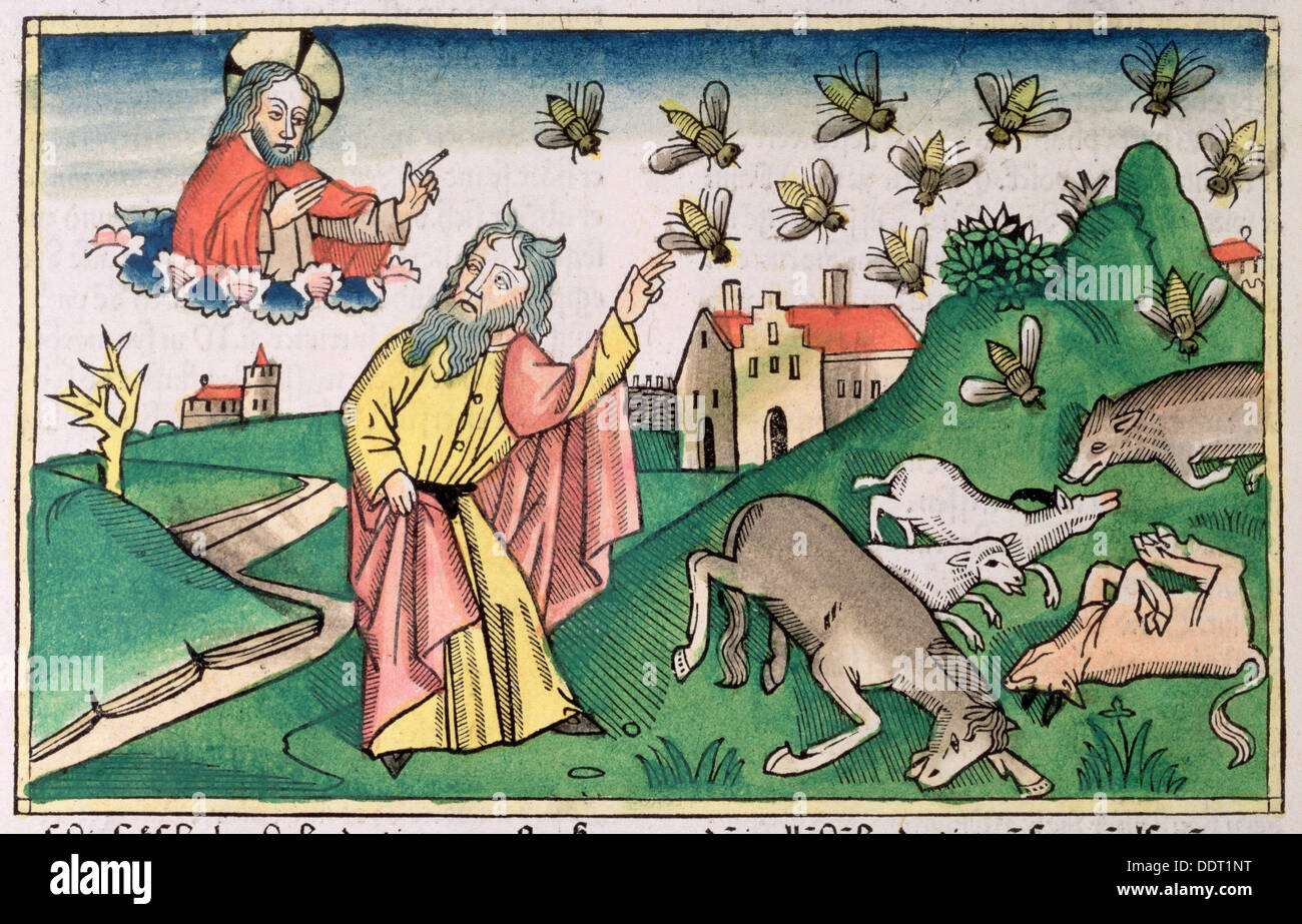 Exodus 08:20-32: Moses und der Schwarm von fliegen, eines der sieben Plagen Ägyptens. Künstler: unbekannt Stockfoto