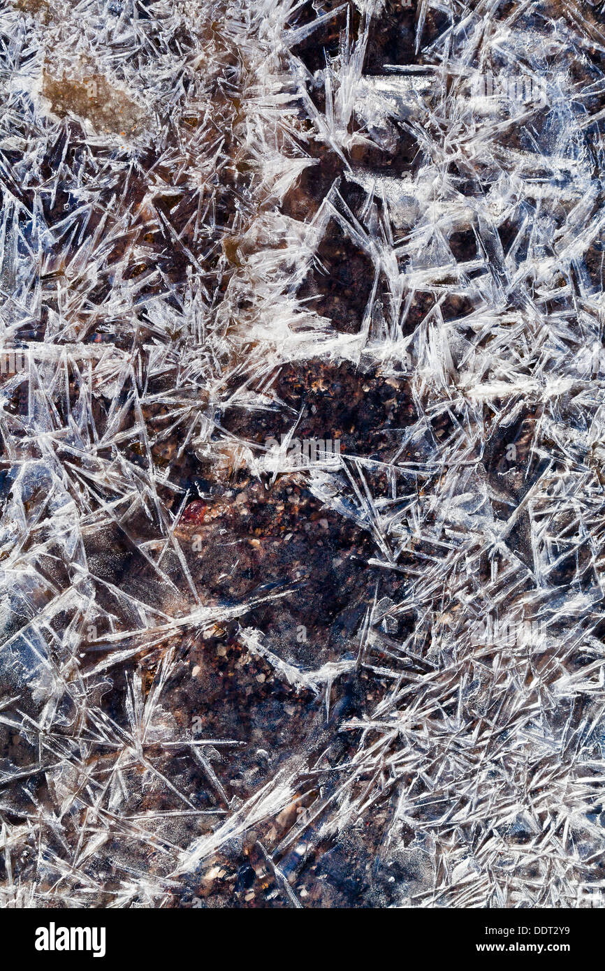 Natureis Kristalle über gefrorenen Bach hautnah im Frühlingswald Stockfoto