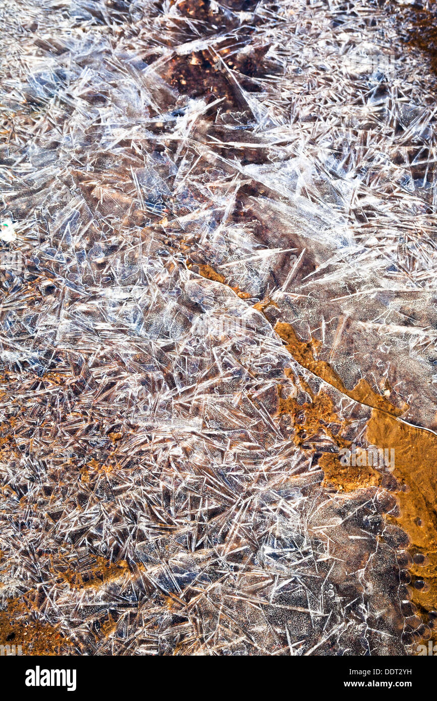 Eiskristalle über gefrorenen Boden in Frühlingsmorgen Stockfoto