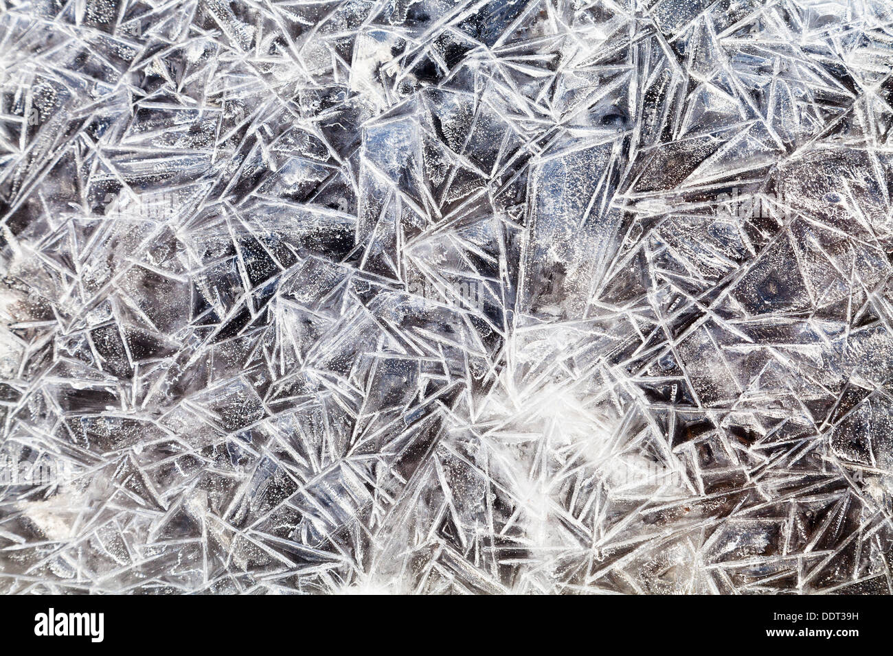 Eiskristalle über gefrorene Pfütze im Frühlingswald Stockfoto