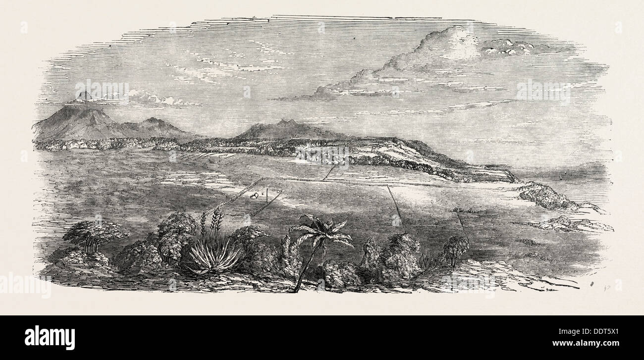 CROFTON PARK, OMATA Bezirk, NEW ZEALAND, 1851 Gravur Stockfoto