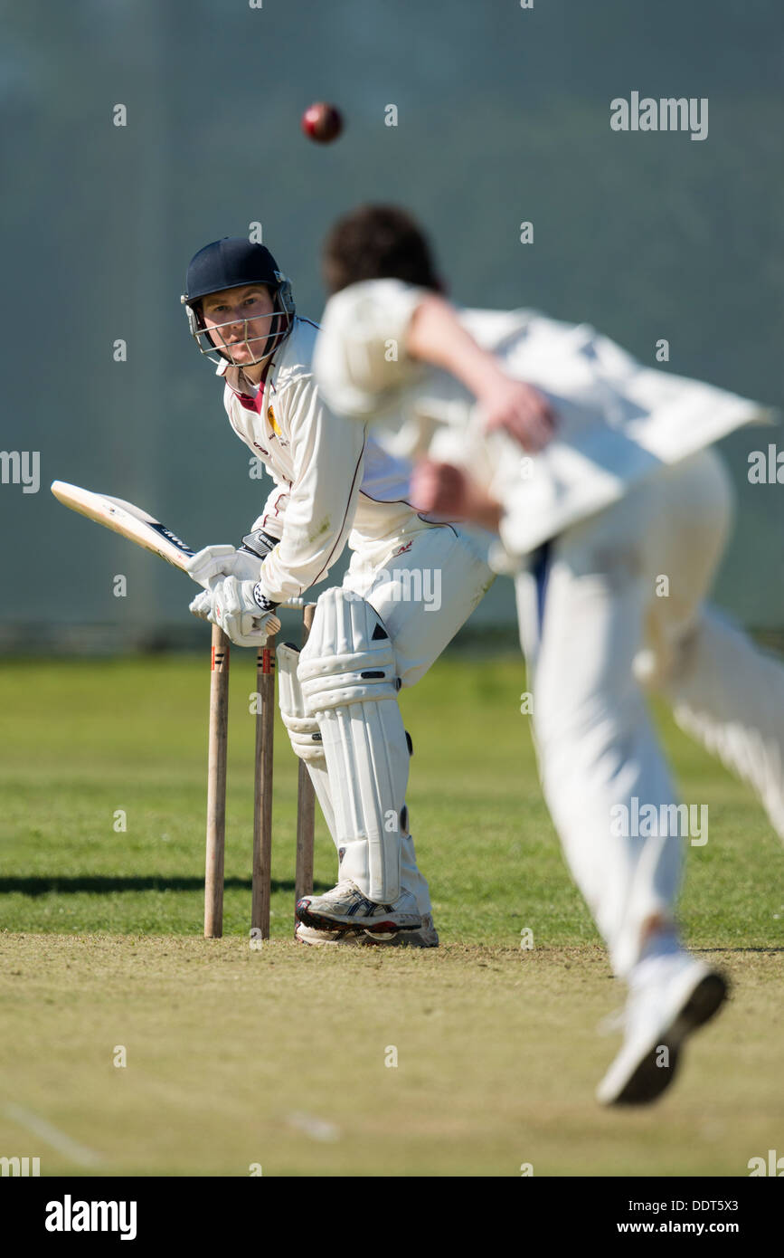 Schlagmann aus hinteren Fuß gegen Medium Pace Bowler Zählspiel wird vorbereitet Stockfoto