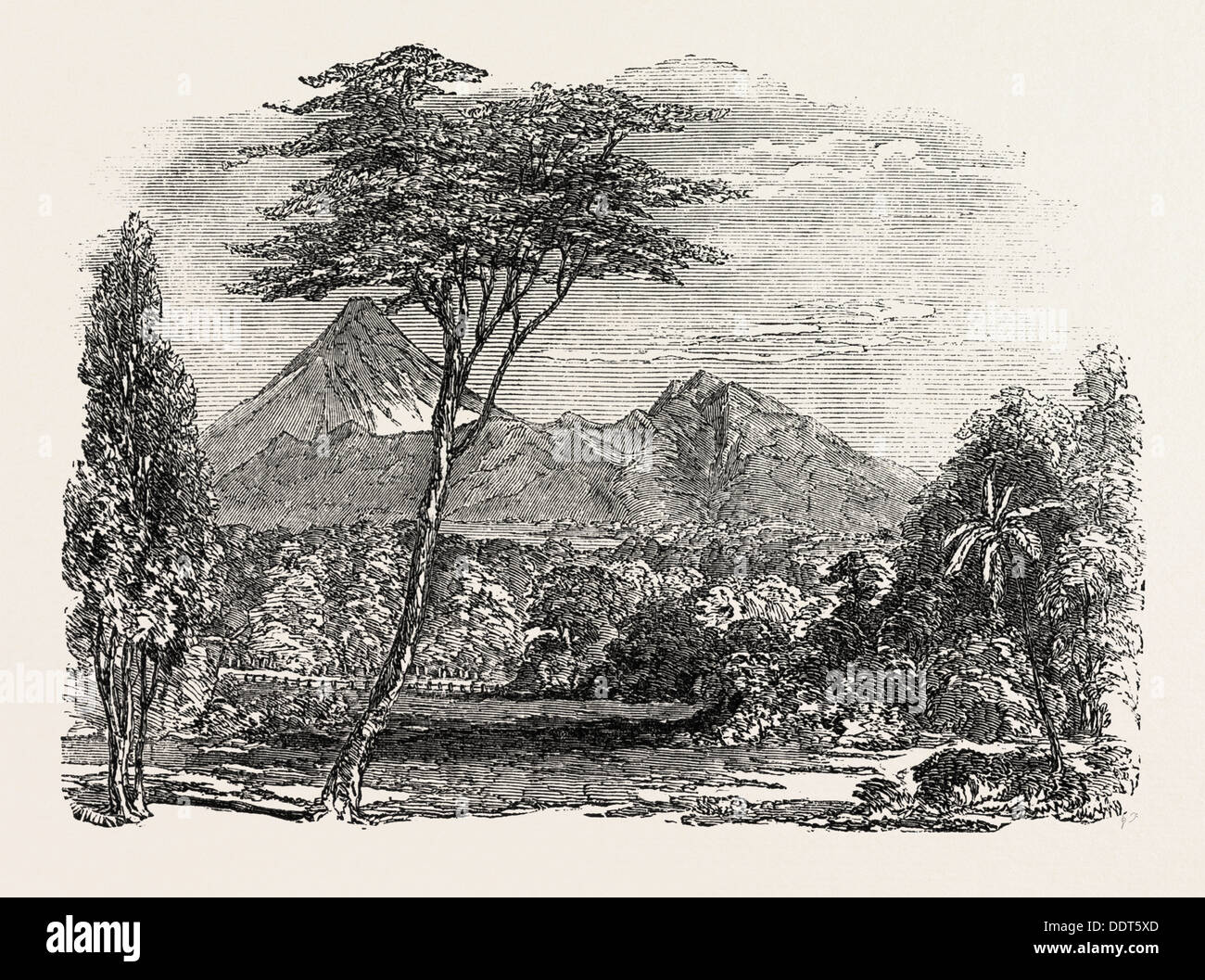 VIEW IN CROFTON PARK, Neuseeland, 1851 Gravur Stockfoto