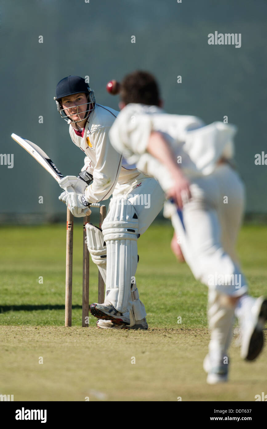 Schlagmann aus hinteren Fuß gegen Medium Pace Bowler Zählspiel wird vorbereitet Stockfoto