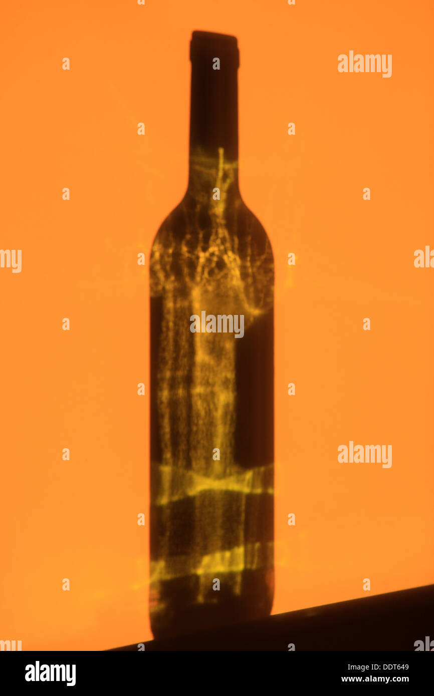 Abendlicht spiegelt einen Schatten von einer Flasche Wein an die Wand Stockfoto